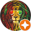 ynot 808 profile picture