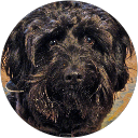 CAROL B STACK profile picture